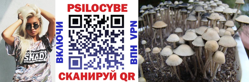 Псилоцибиновые грибы GOLDEN TEACHER  цены   OMG рабочий сайт  Кулебаки 