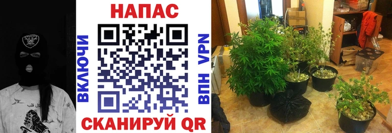 Каннабис индика  kraken зеркало  Кулебаки 